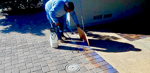 Pavers driveway sealing San Diego