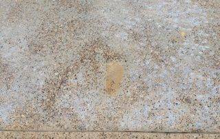 efflorescent stains on concrete