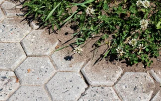 Eco-friendly concrete installation and hardscape sustainable choices for San Diego properties